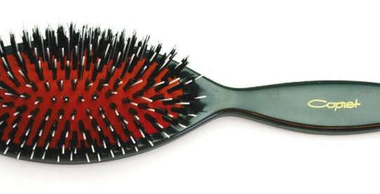 brosse-poils-sanglier