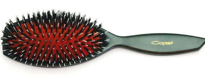 brosse-poils-sanglier